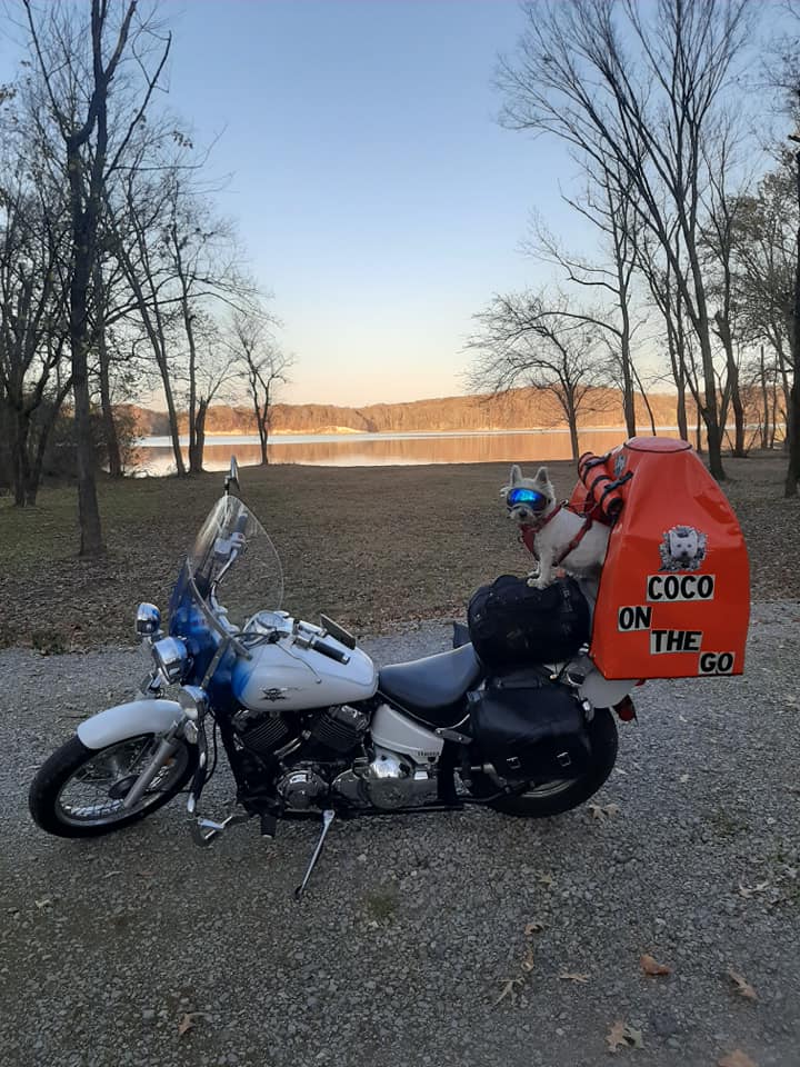 Pillion Pooch Motorcycle Dog Carrier mounted on a 2004 Yamaha V-Star 650 with a Back Road Equipment BRE Slider Rack quick release. Photo by Cindy of her dog Coco wearing Rex Specs in Tennessee @Cocoonthego