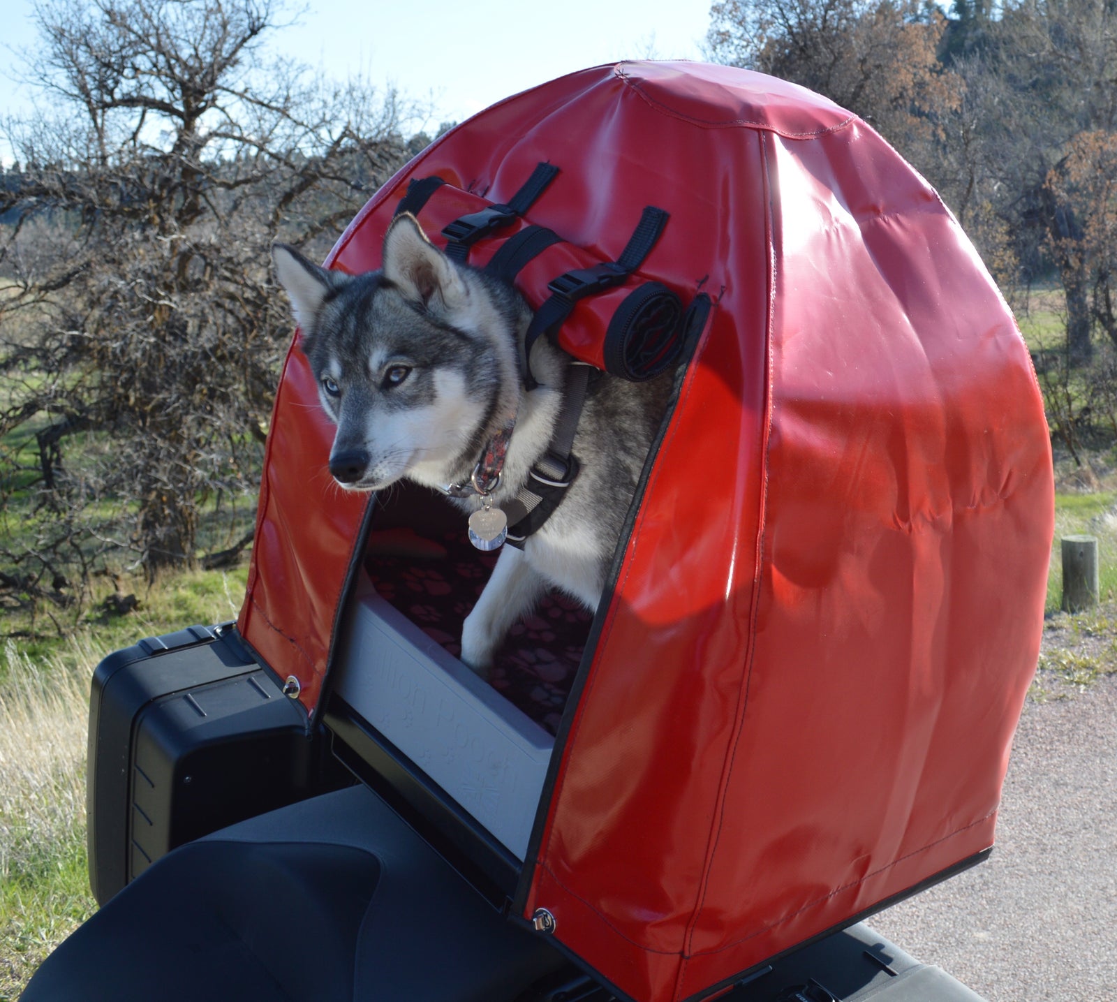 Pillion Pooch Motorcycle Dog Carrier mounted on a BMW F700GS with a Back Road Equipment BRE Slider Rack quick release. Photo by Laura of her dog Kodi from Canada.